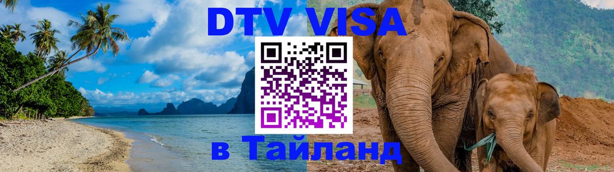 Оформление DTV визы под ключ: стоимость и тарифы, только загранпаспорт - 05.10.2025 